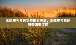 水瓶座今日运势查询男黄历，水瓶座今日运势查询男汉程