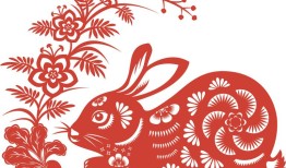 属兔的今年命运好不好呀(2023年属兔人的运势如何)