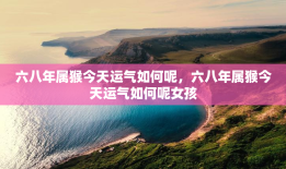 六八年属猴今天运气如何呢，六八年属猴今天运气如何呢女孩