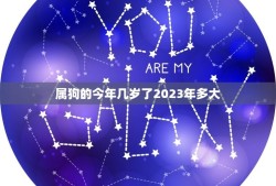 属狗的今年几岁了2023年多大(狗年人的年龄计算方法详解)