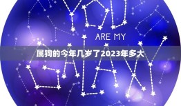 属狗的今年几岁了2023年多大(狗年人的年龄计算方法详解)