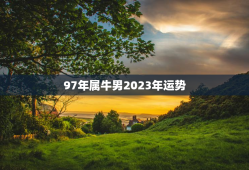 97年属牛男2023年运势，97年属牛男2023年运势及运程每月运程五月运气