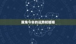 属兔今年的运势和婚姻(如何)