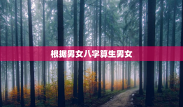 根据男女八字算生男女，八字生男女看男方还是女方