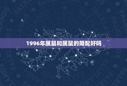 1996年属鼠和属鼠的婚配好吗(介绍同属一相会有怎样的缘分)