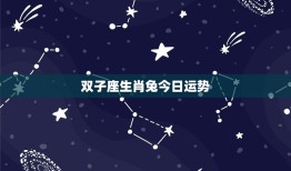 双子座生肖兔今日运势(好运连连财运亨通)