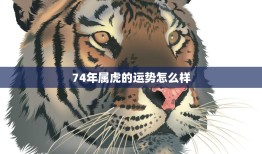 74年属虎的运势怎么样(2023年运势大揭秘)