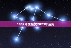 1987年属兔女2023年运势(详解兔女今年的财运感情健康状况)