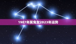 1987年属兔女2023年运势(详解兔女今年的财运感情健康状况)