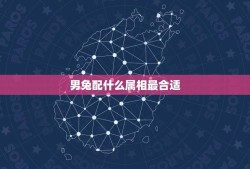 男兔配什么属相最合适(讨论兔子的配对原则)