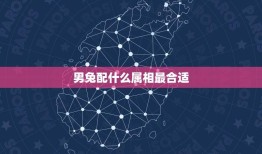 男兔配什么属相最合适(讨论兔子的配对原则)