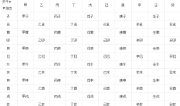 已巳五行属什么，时辰问题