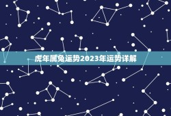 虎年属兔运势2023年运势详解(兔子们的未来如何)