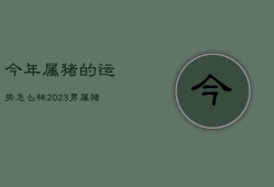 今年属猪的运势怎么样2023女，今年属猪的运势怎么样2023女孩