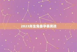 2023年生兔备孕表男孩(讨论生男生女的科学方法)