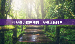 排好运小程序如何，好运正在排队