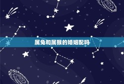 属兔和属猴的婚姻配吗(十二生肖婚姻搭配分析)