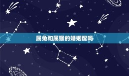 属兔和属猴的婚姻配吗(十二生肖婚姻搭配分析)