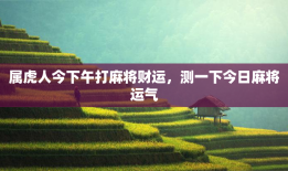属虎人今下午打麻将财运，测一下今日麻将运气