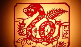 2019年犯太岁的生肖，2019年猪年本命年,猪年过年