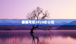 心理
师
怎么考取2022，心理
师
怎么考取2023年
