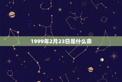 1999年2月23日是什么命(根据生日查询命运介绍)