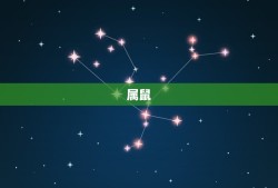 91年女婚配属相(介绍哪些属相最适合与她搭配)