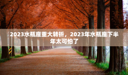 2023水瓶座重大转折，2023年水瓶座下半年太可怕了