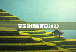 麦玲玲结婚吉日2023，麦玲玲2023年黄历