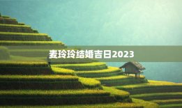 麦玲玲结婚吉日2023，麦玲玲2023年黄历