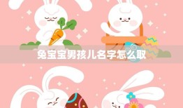 兔宝宝男孩儿名字怎么取(如何给你的小兔子取一个有意义的名字)