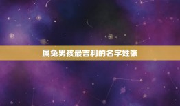 属兔男孩最吉利的名字姓张(根据八字起名的方法)