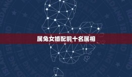 属兔女婚配前十名属相(探秘属相婚配之路)