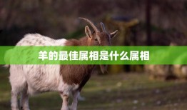 羊的最佳属相是什么属相(揭秘哪个属相最适合与羊搭配)