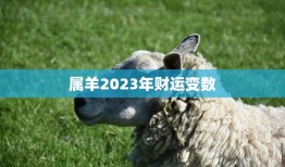 属羊2023年财运变数(如何应对)