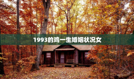 1993的鸡一生婚姻状况女，1993属鸡的一生婚姻