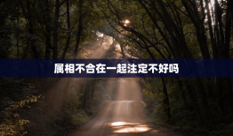 属相不合在一起注定不好吗，属相不合就一定不能结婚吗