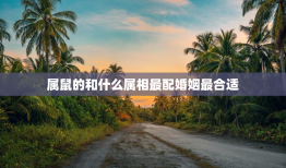 属鼠的和什么属相最配婚姻最合适，属鼠的和什么属相配婚最好