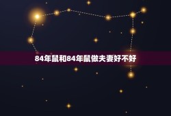 84年鼠和84年鼠做夫妻好不好(讨论同年属相恋爱是否靠谱)