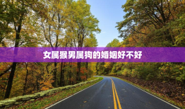 女属猴男属狗的婚姻好不好，女属猴男属狗婚姻状况