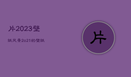 片2023壁纸风景，2o21的壁纸