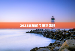 2023属羊的今年犯死煞，2023属羊的今年犯死煞 小猫星座网