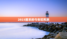 2023属羊的今年犯死煞，2023属羊的今年犯死煞 小猫星座网