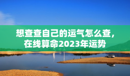 想查查自己的运气怎么查，在线算命2023年运势