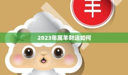 2023年属羊财运如何(财运旺盛事业有成)