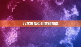 八字看命中注定的配偶(如何通过八字算命找到你的真命之人)