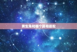 男生兔和哪个属相最配(十二生肖配对指南)
