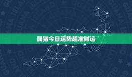 属猪今日运势超准财运(财神降临财源滚滚来)