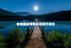 十二星座专属
女手链，十二星座婚纱戒指