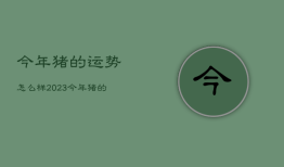 今年猪的运势怎么样2023，今年猪的运势怎么样2021